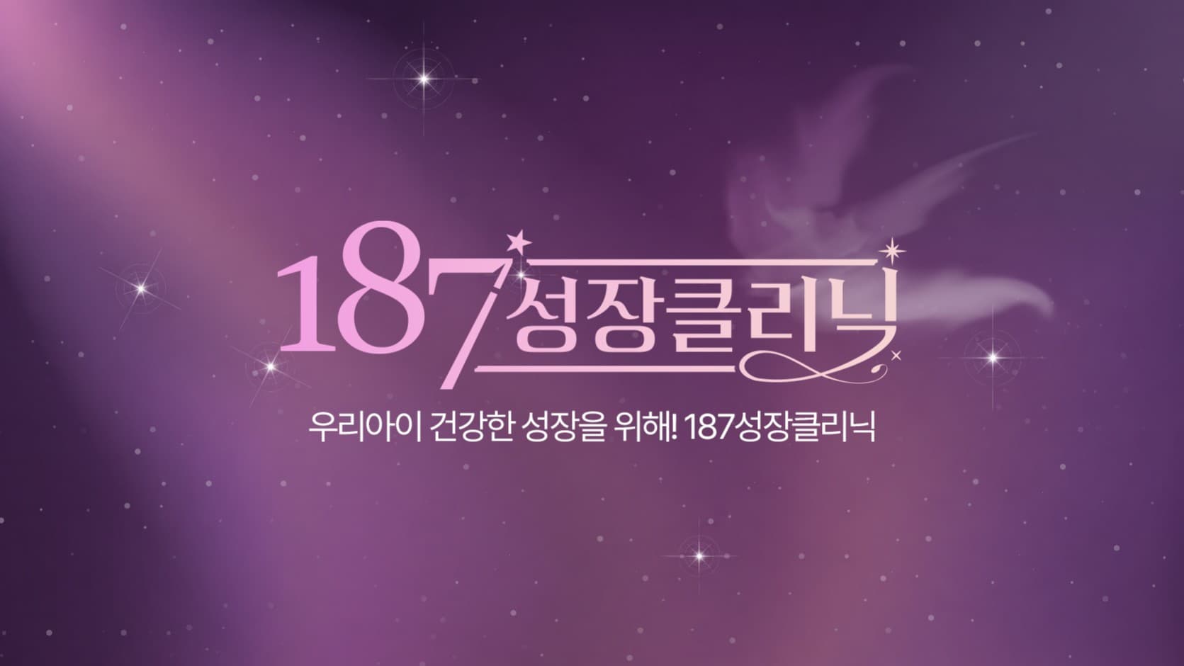 배너 2